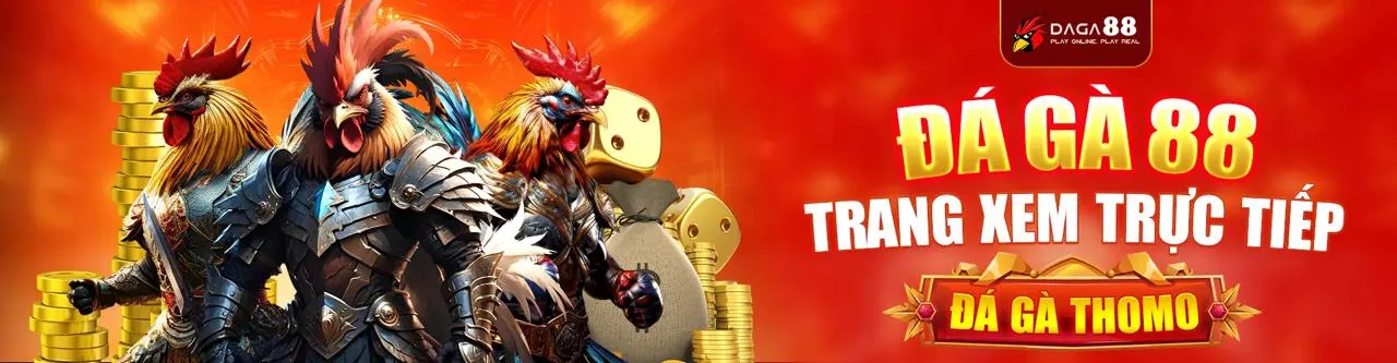Sân đấu đá gà trực tuyến kịch tính tại ff168 login